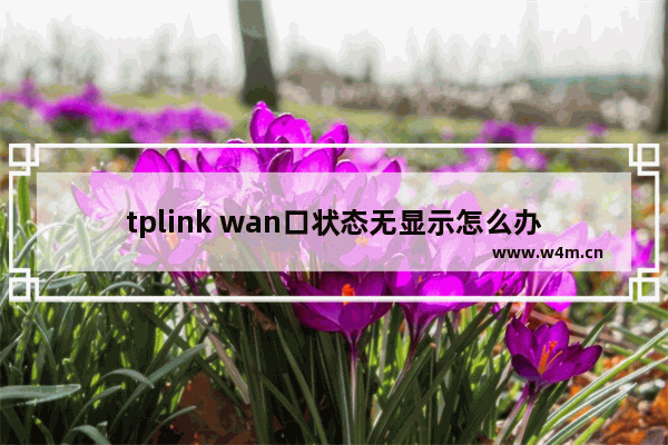 tplink wan口状态无显示怎么办