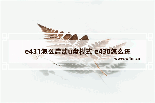 e431怎么启动u盘模式 e430怎么进入bios