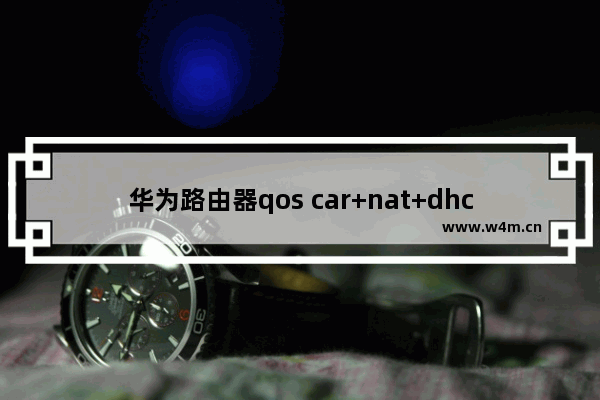 华为路由器qos car+nat+dhcp+vlan配置