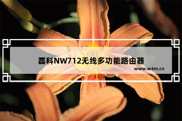 磊科NW712无线多功能路由器