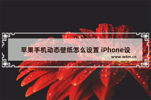 苹果手机动态壁纸怎么设置 iPhone设置小技巧