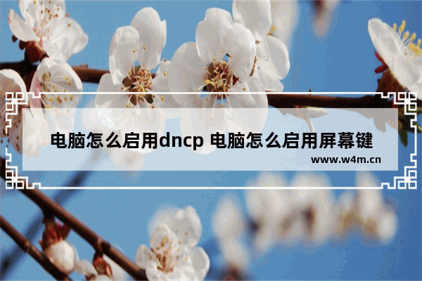 电脑怎么启用dncp 电脑怎么启用屏幕键盘