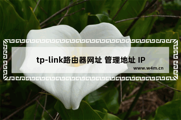 tp-link路由器网址 管理地址 IP地址是什么【介绍】