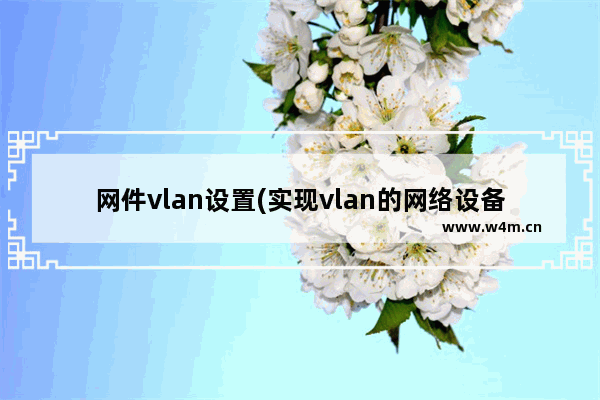 网件vlan设置(实现vlan的网络设备)