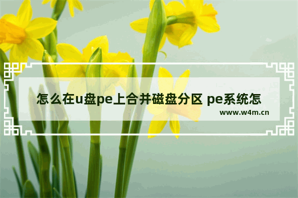 怎么在u盘pe上合并磁盘分区 pe系统怎么合并磁盘