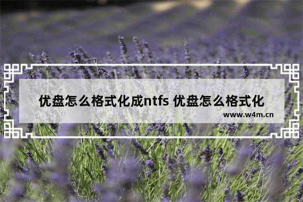 优盘怎么格式化成ntfs 优盘怎么格式化成mp3