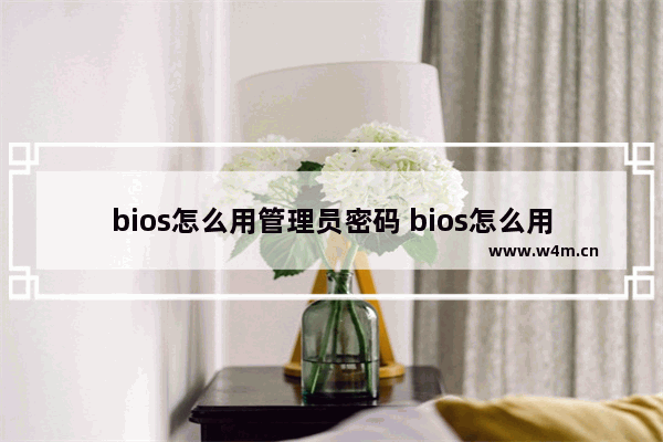 bios怎么用管理员密码 bios怎么用管理员密码登录