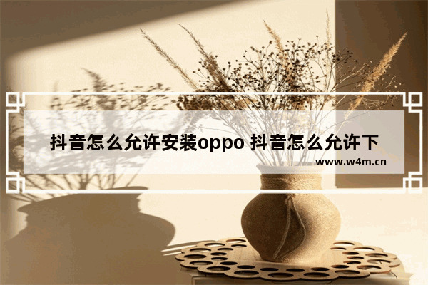 抖音怎么允许安装oppo 抖音怎么允许下载应用