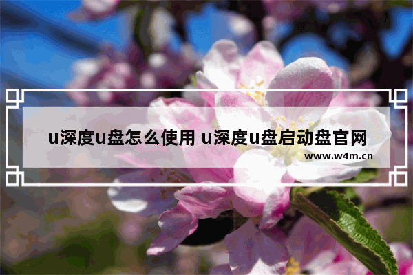 u深度u盘怎么使用 u深度u盘启动盘官网