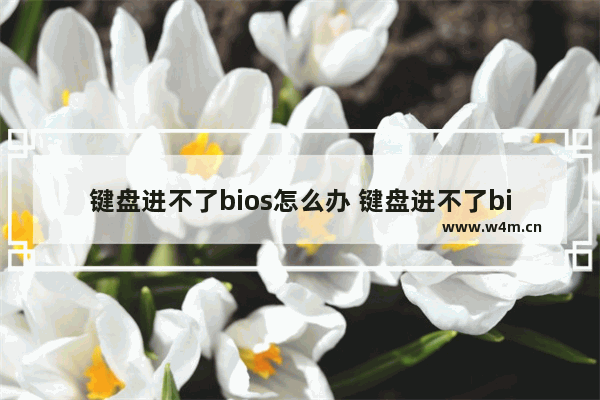 键盘进不了bios怎么办 键盘进不了bios怎么办教程