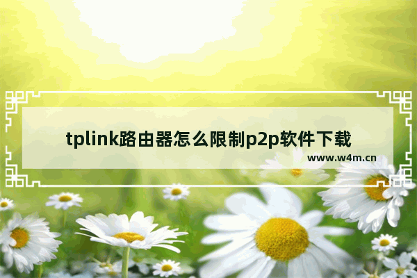 tplink路由器怎么限制p2p软件下载速度