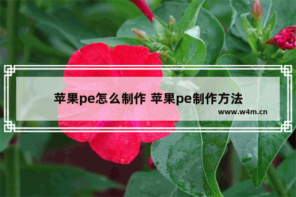 苹果pe怎么制作 苹果pe制作方法