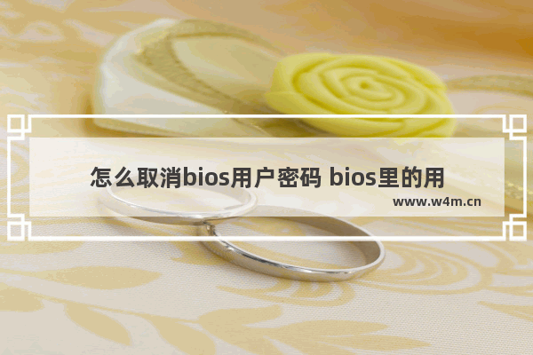 怎么取消bios用户密码 bios里的用户密码怎么取消