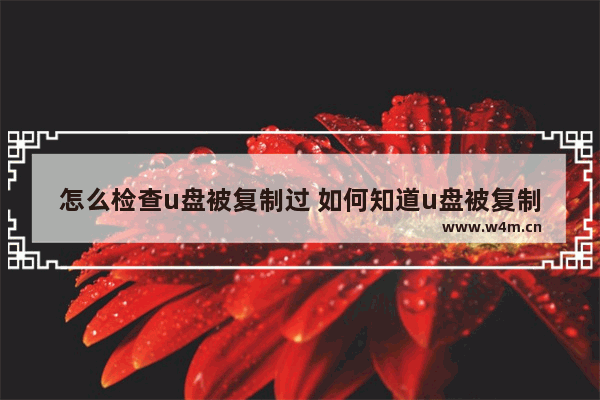 怎么检查u盘被复制过 如何知道u盘被复制了