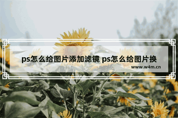 ps怎么给图片添加滤镜 ps怎么给图片换滤镜的方法