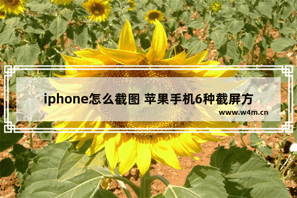 iphone怎么截图 苹果手机6种截屏方法