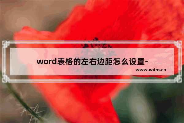 word表格的左右边距怎么设置-