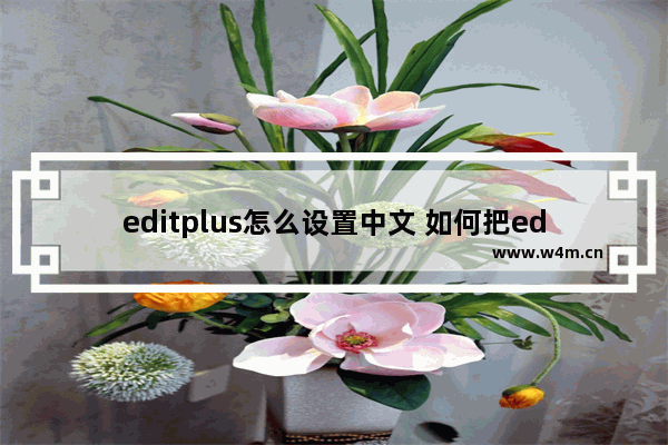 editplus怎么设置中文 如何把editplus调成中文字体