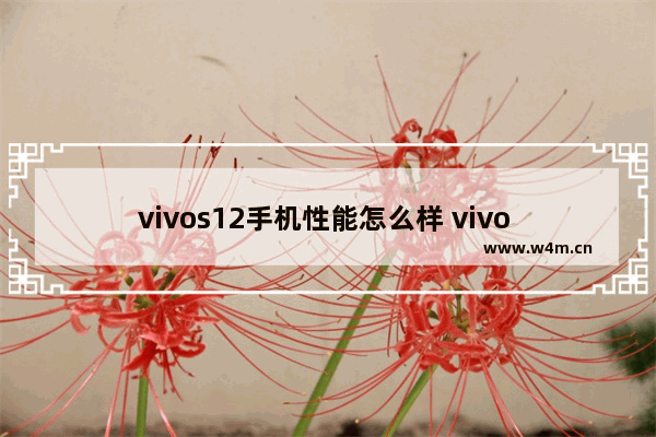 vivos12手机性能怎么样 vivo S12评测