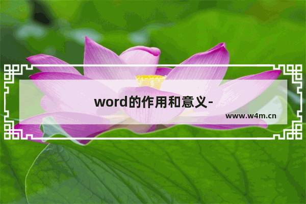 word的作用和意义-