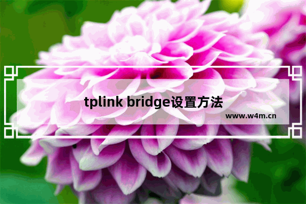 tplink bridge设置方法