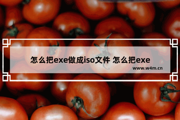 怎么把exe做成iso文件 怎么把exe文件变成apk文件