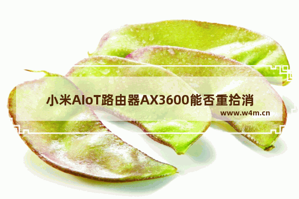 小米AIoT路由器AX3600能否重拾消费者对于小米路由器的信心？