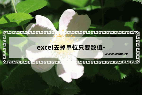 excel去掉单位只要数值-