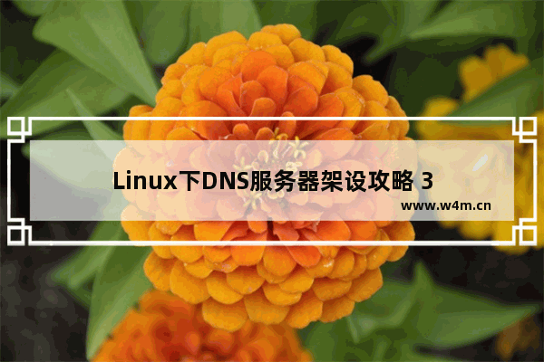 Linux下DNS服务器架设攻略 3