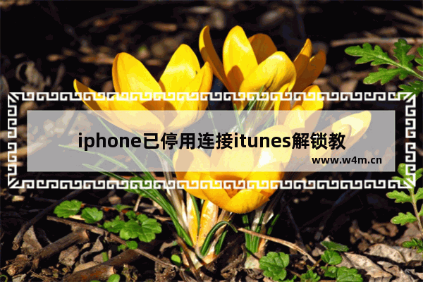 iphone已停用连接itunes解锁教程 iPhone，ipad被停用处理方法