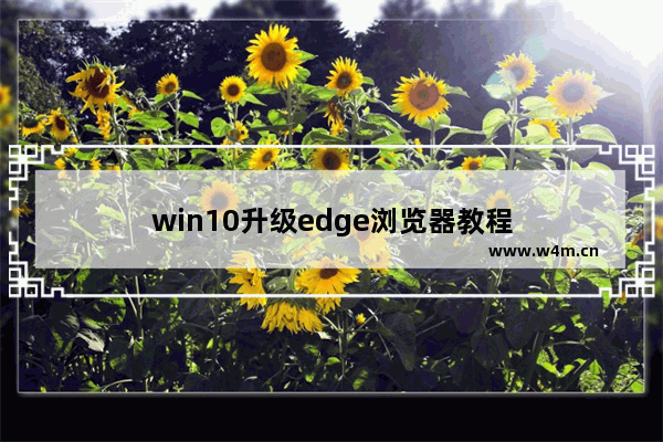 win10升级edge浏览器教程