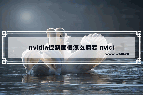 nvidia控制面板怎么调麦 nvidia控制面板设置声音