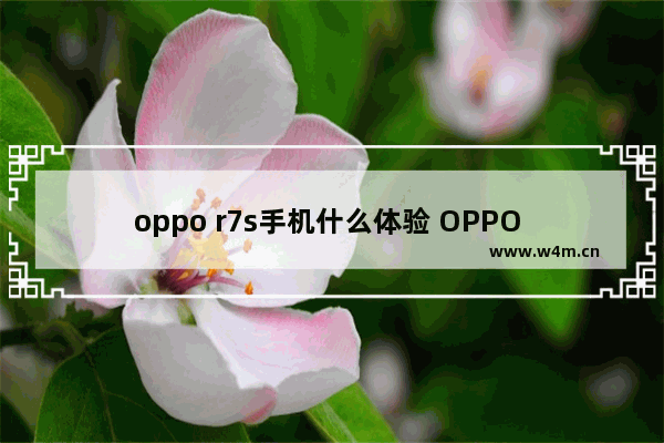 oppo r7s手机什么体验 OPPO R7s详细评测