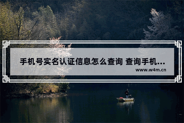 手机号实名认证信息怎么查询 查询手机号实名认证信息的步骤