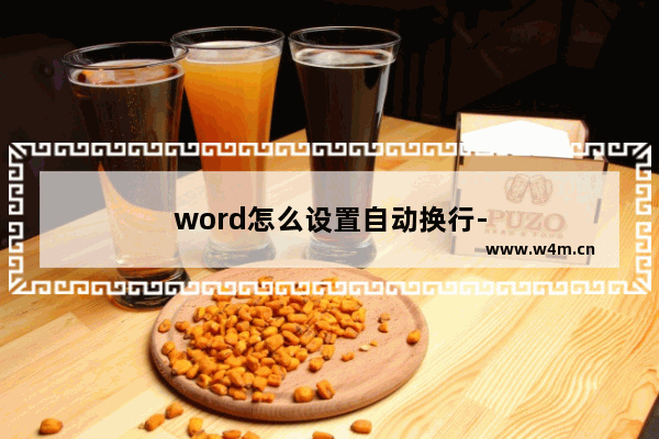 word怎么设置自动换行-