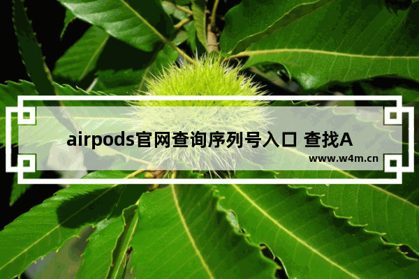 airpods官网查询序列号入口 查找AirPods序列号的详细教程