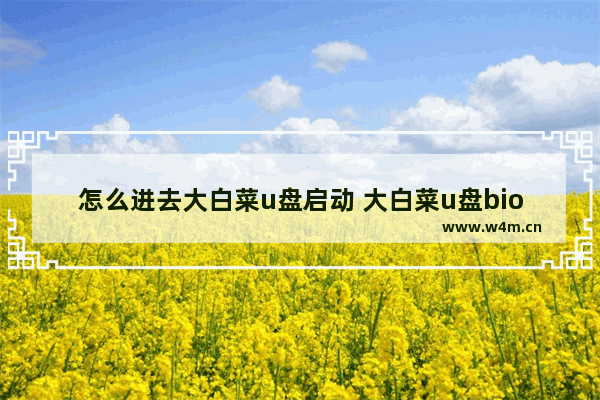 怎么进去大白菜u盘启动 大白菜u盘bios启动教程