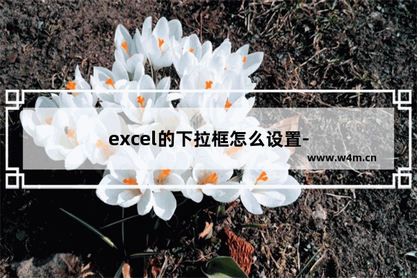 excel的下拉框怎么设置-