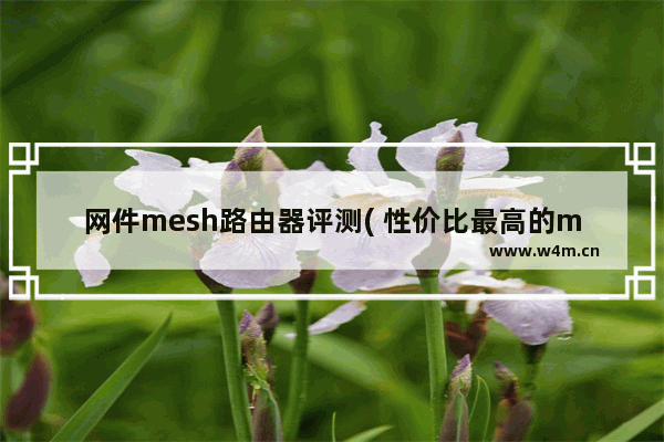 网件mesh路由器评测( 性价比最高的mesh路由器)