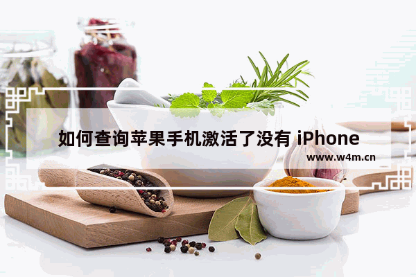 如何查询苹果手机激活了没有 iPhone 验机教程