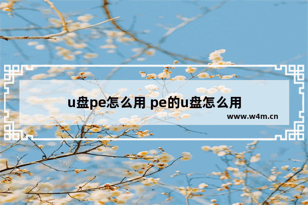 u盘pe怎么用 pe的u盘怎么用