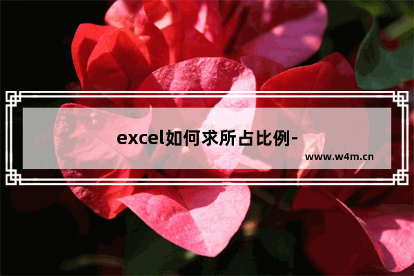 excel如何求所占比例-