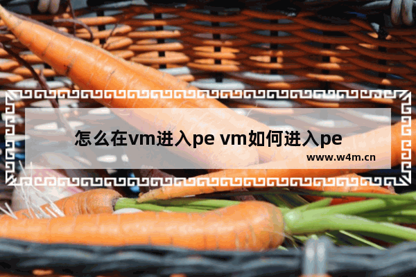 怎么在vm进入pe vm如何进入pe