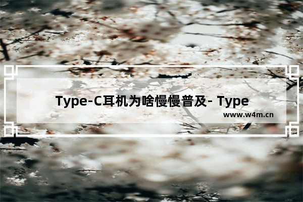 Type-C耳机为啥慢慢普及- Type-C耳机和传统接口的对比