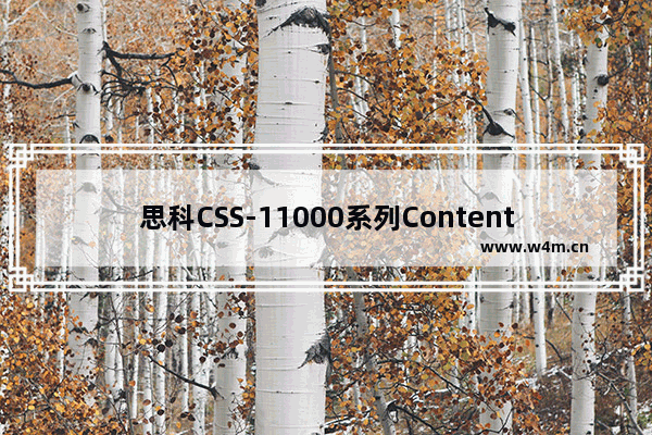 思科CSS-11000系列Content Smart Web交换机