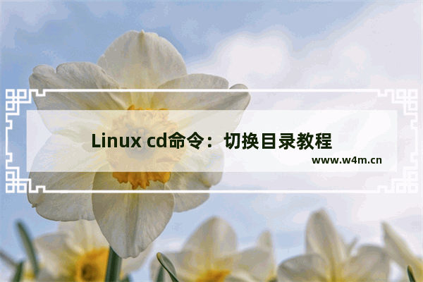 Linux cd命令：切换目录教程