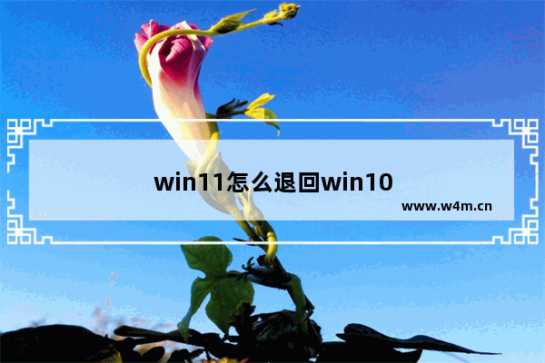 win11怎么退回win10