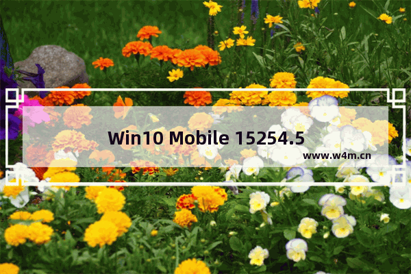 Win10 Mobile 15254.538累积更新推送(附更新修复汇总)