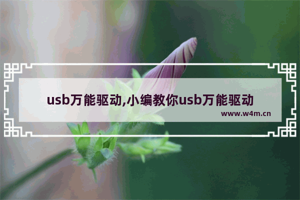 usb万能驱动,小编教你usb万能驱动