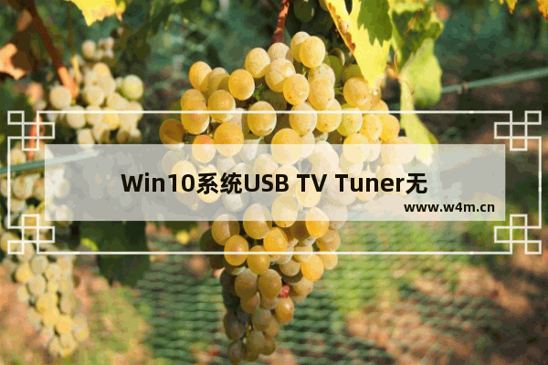 Win10系统USB TV Tuner无法驱动的解决方法